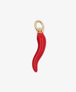 Pick a charm - Big red chilli